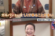 【画像】大洗住民「ガルパンおじさんはだいたい1人で来る」