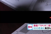 愛知県でワタリガニ96匹を密漁、フィリピン人の男2人を書類送検　地元漁師が発見　※動画