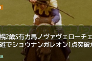 札幌2歳S有力馬ノヴァヴェローチェ回避でショウナンガレオン1点突破か