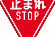 車ワイ「よし！一時停止して…人はいないな！発進！」みんな「ちょっと減速してブオオオンw」