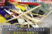 【悲報】小泉進次郎､レジ袋に続いてプラスチックの使い捨てスプーンも有料化へ