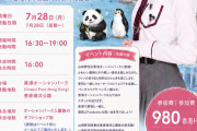 【朗報】山﨑夢羽ちゃんとパンダさんにもレッサーパンダさんにも会いにいけるイベントin香港ｗｗｗｗｗｗｗｗｗｗｗｗｗ