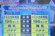 【朗報】中日ドラゴンズの新外国人、ゴリラだった