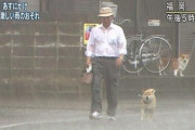 犬「ご主人様、散歩！散歩の時間だよ。雨？何それ？僕カッパ着るよ。」