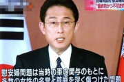 【朗報】岸田文雄さん、右からも左からも叩かれない理想の総理候補だと話題に