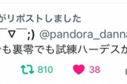 RT数800超え...パズドラ編成考案者が国際的に炎上wwwwwwwwww