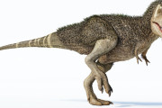 【朗報】　最新のティラノサウルス復元図、全盛期以上のカッコよさに！！！！(画像あり)