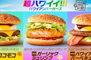 マクドナルドの新メニュー ガーリックシュリンプは当たりだぞ