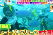 【櫻坂46】大園玲×増本綺良、オーストラリアロケの模様が豪華すぎる【ラヴィット】