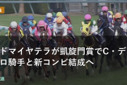 アドマイヤテラが凱旋門賞でC・デムーロ騎手と新コンビ結成へ