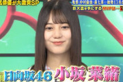 【日向坂46】こさかなノブ相手に贔屓を誘うｗｗｗｗｗｗｗｗ