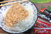 ( ヽ´ん`) 「今日の昼飯はお手軽にツナマヨ丼。」