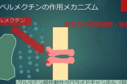 【日本すごい案件】「イベルメクチン」に新型コロナの抑制効果　大村智氏が発見した放線菌から開発