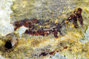 【考古学】世界最古の洞窟壁画？狩猟シーン描いた約４万４千年前のインドネシアで発見される