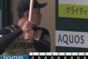 日ハム、ノーヒットノーラン喰らって引き分けｗｗｗｗｗｗｗｗ