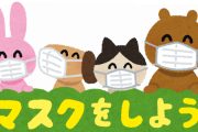 マスクの使い方間違ってない？菌培養してる可能性