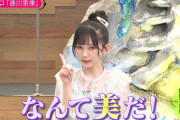 池田瑛紗ちゃん、家康超えを果たす！！！【乃木坂46】