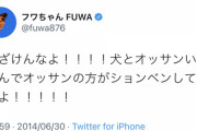 【画像】尖ってた頃のフワちゃんのツイートｗｗｗｗｗｗｗｗｗｗ