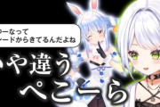 【Vtuber】「せつーな」はどこから？