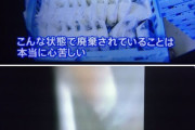 【画像】オリンピックさん、バカみたいな量の食品を廃棄処分してしまう・・・