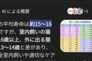 猫の寿命、10年くらい伸びそう（※画像あり）