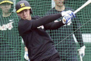 阪神・井上　ドラ１佐藤輝のスイング「速い」負けじバックスクリーン弾