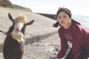 【乃木坂46】ヤギ飼ってる与田の他にペット飼ってるメンバーっておる？？？