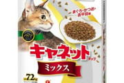 ヴィーネ「スーパーで夕飯の買い物していい？」ガヴリール「いいけど」