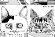 【画像】犬派のホラー漫画家が猫を飼う事になり発狂