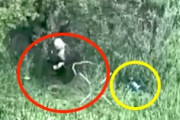 【動画】不発だったドローン爆弾を枝で叩いて爆発させてしまうロシア兵。