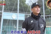 ロッテとトラブルの白井一行球審の素顔、AKB48の大ファンで推しは大島優子