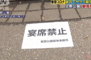 【悲報】都心でサクラ開花も…「宴会禁止」ｗｗｗｗｗｗｗｗｗｗｗｗ