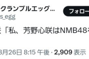 【速報】NMBの外交官こと芳野心咲ちゃん卒業発表