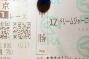 紙馬券の印字が消えないように保存する方法ってある？