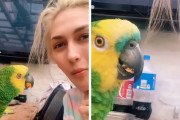 「んん～！」食べてないのにウマいと唸るインコが面白い