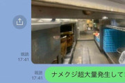 保健所「例の大阪王将に立ち入り検査したけどナメクジは見つからなかった」