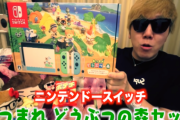【悲報】ヒカキンさん、『あつまれどうぶつの森セット』を購入しただけで炎上してしまう…