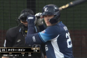 西武 第115代目4番打者ネビン