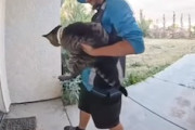 【動画】人懐っこいネコちゃん、Amazonの配達員に誘拐されてしまう。