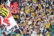 甲子園の阪神ファンの声量がすごい←このデマ流すのそろそろやめてほしい