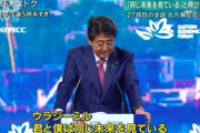 安倍「うちも核兵器置く議論しようや！アメリカとシェアしてさ」