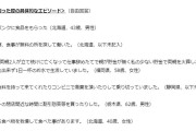 「数百円のものポンと買えない……」…あまりに生々しい“貧困生活” アンケートとSNSから見えた、令和の実相