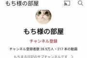【悲報】No1猫系YouTuberさん、人気猫に『腎臓病』が発覚してから新しい子猫の動画を投稿し始めてしまうｗ