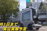 【画像】もうジジババは車やめてこれ乗れよ‥‥