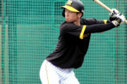 右肋骨骨折の阪神・近本　抹消後初のシート打撃で湯浅から快音　後半開幕戦で復帰か