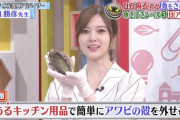 【画像・GIF】日テレの白石麻衣がとんでもないことに・・・