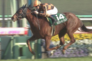 【競馬】モズスーパーフレアは次走JBCスプリントへ！