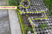 【高知】堤防ブロックはがしてBBQの台座利用…河川国道事務所が「絶対にやめて」