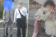 ６歳の女の子と散歩していた犬を轢き殺して逃げた９１歳男性「女の子じゃなくてよかったなと」家族に謝罪