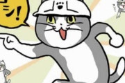 【画像】現場猫さん、一般企業にも浸透してしまうｗｗｗ